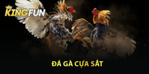 Đá Gà Cựa Sắt