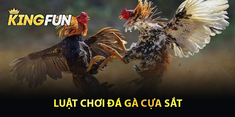 Luật Chơi Đá Gà Cựa Sắt